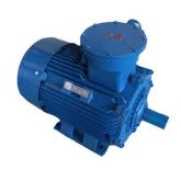 CT4防爆电机和BT4防爆电机哪个防爆品级高？？？？？？？