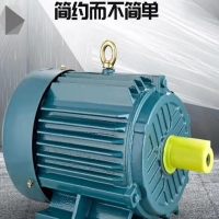 2900转速电机振动值要求几多？？？？？？