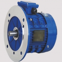 振动电机启动后_过一会跳闸是怎么回事？？？？？？？？